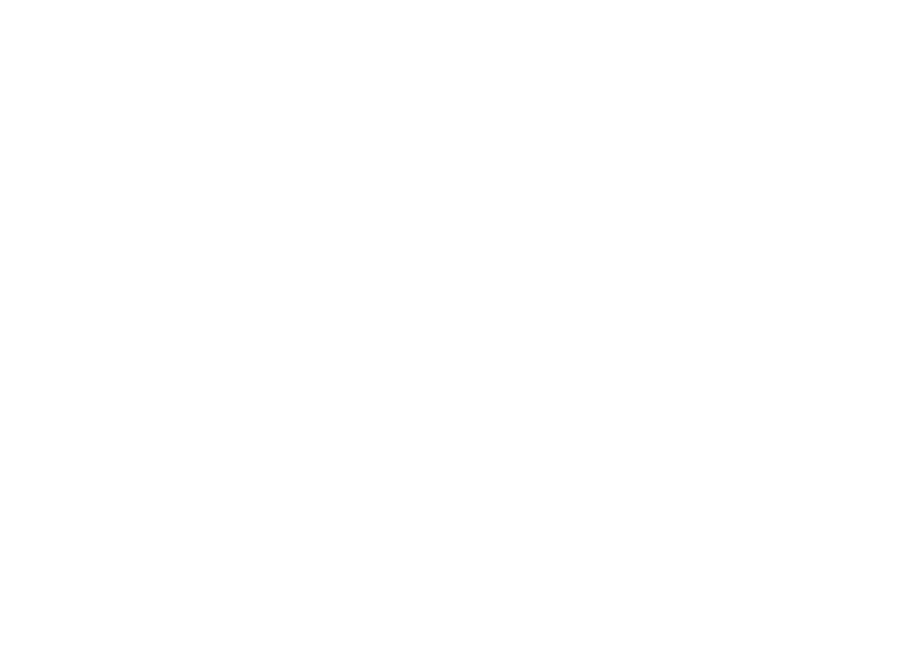SOS Vidas Missão Peniel